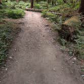 Review photo of Hoh Rain Forest - Olympic National Park by Kasumi , July 19, 2021