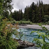 Review photo of Hoh Rain Forest - Olympic National Park by Kasumi , July 19, 2021