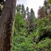 Review photo of Hoh Rain Forest - Olympic National Park by Kasumi , July 19, 2021