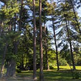 Review photo of Horine Reservation Camping at Jefferson County Memorial Forest by Kenpocentaur K., July 19, 2021