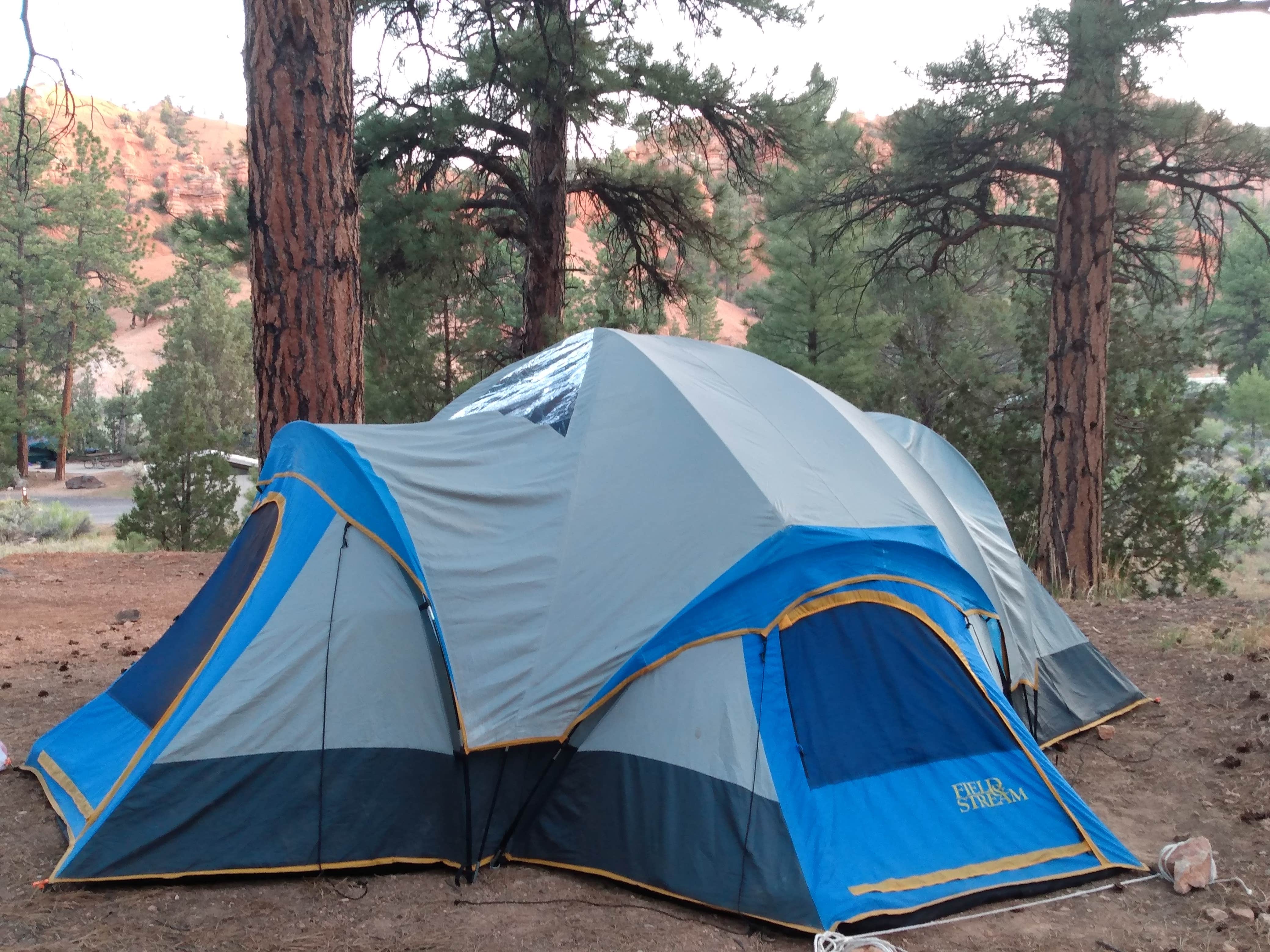 Tracey C.'s photo at Red Canyon Campground near Dixie National Forest