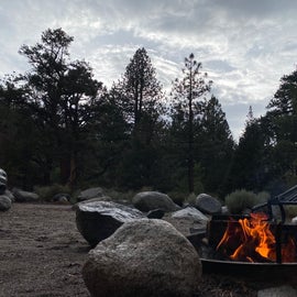 Campfire view with a river flowing in the background behind the trees