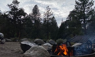 Inyo National Forest French Camp Campground