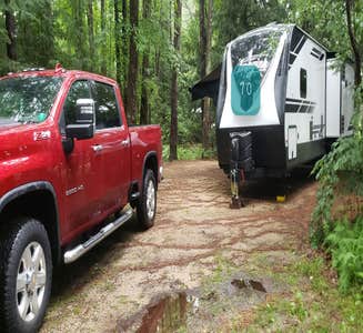 Camper-submitted photo from Friendly Beaver Campground