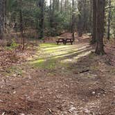 Review photo of Lake Dennison Recreation Area by Jean C., July 19, 2021