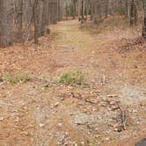 Review photo of Lake Dennison Recreation Area by Jean C., July 19, 2021