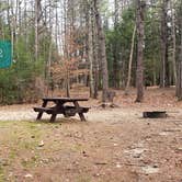 Review photo of Lake Dennison Recreation Area by Jean C., July 19, 2021