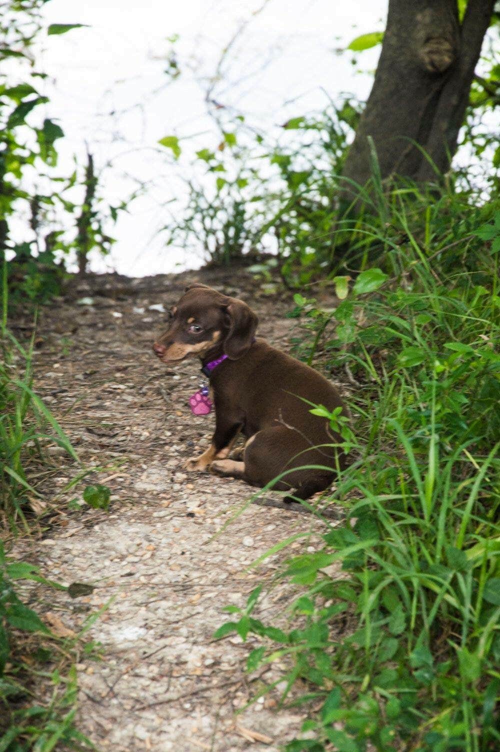 Camper-submitted photo at Bogue Chitto State Park Campground in Louisiana