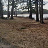 Review photo of Lake Dennison Recreation Area by Jean C., July 19, 2021