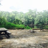 Review photo of Ginnie Springs Outdoors by Emily J., June 14, 2018