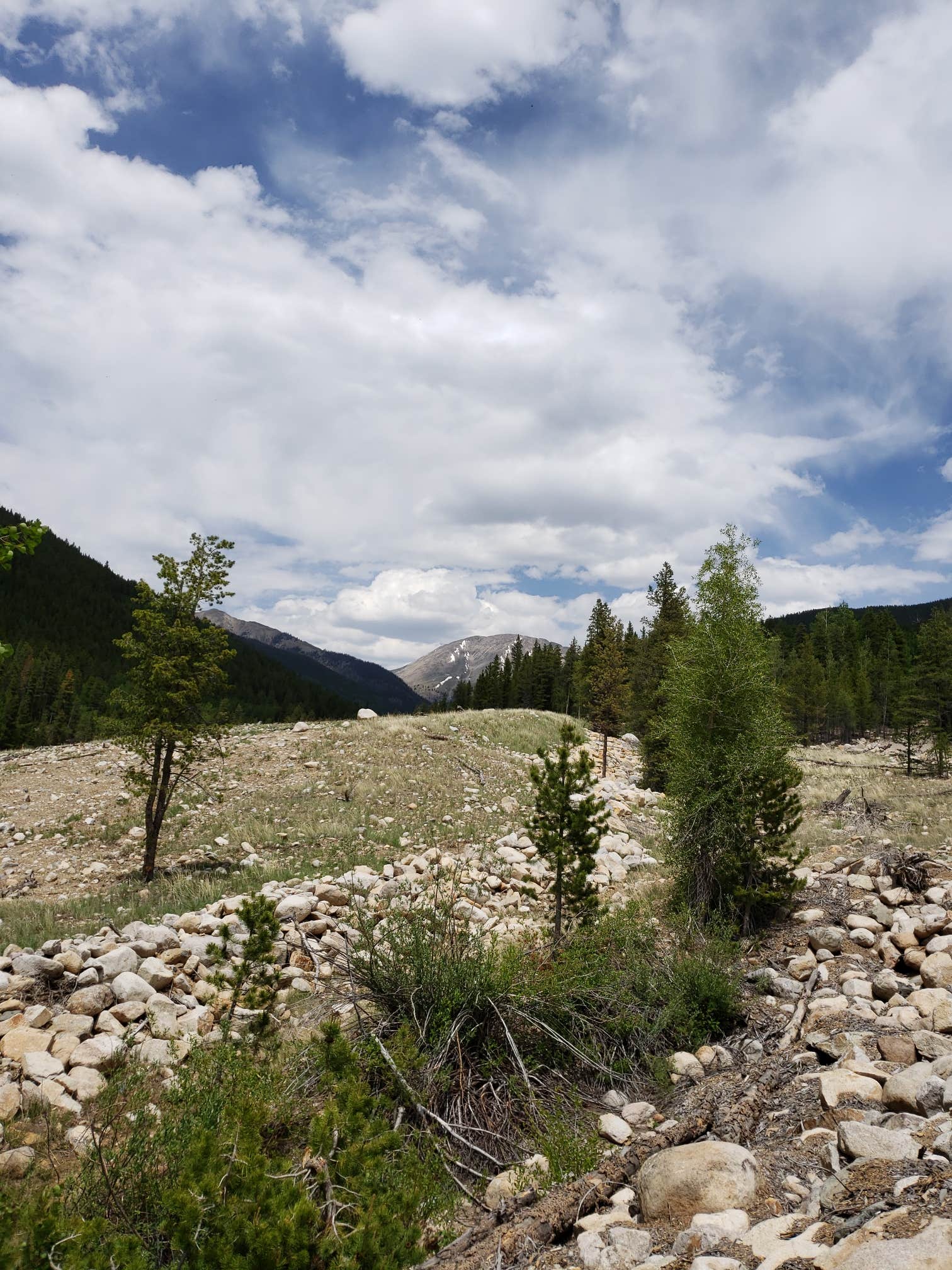 Camper submitted image from Snowblind - 5