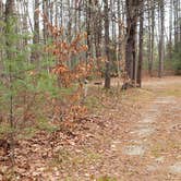 Review photo of Lake Dennison Recreation Area by Jean C., July 19, 2021