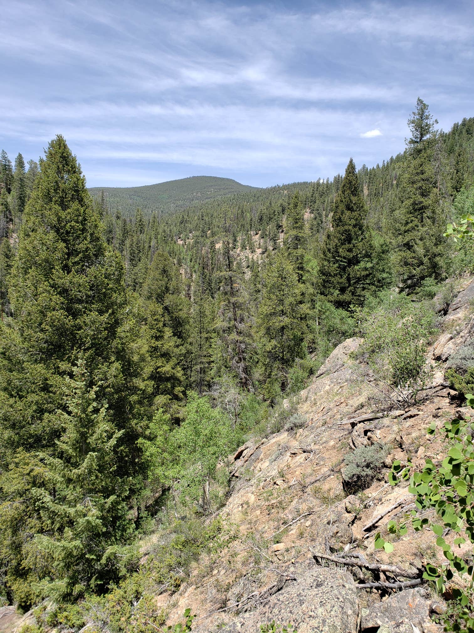 Camper-submitted photo at Snowblind near Sargents, CO