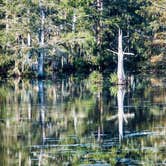 Review photo of North Campground — Chicot State Park by Connie M., June 14, 2018