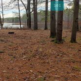 Review photo of Lake Dennison Recreation Area by Jean C., July 19, 2021