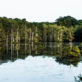 Review photo of North Campground — Chicot State Park by Connie M., June 14, 2018