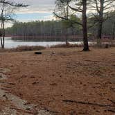 Review photo of Lake Dennison Recreation Area by Jean C., July 19, 2021