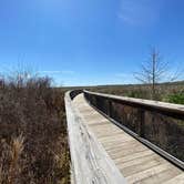 Review photo of Paynes Prairie Preserve State Park Campground by Jenn B., July 19, 2021