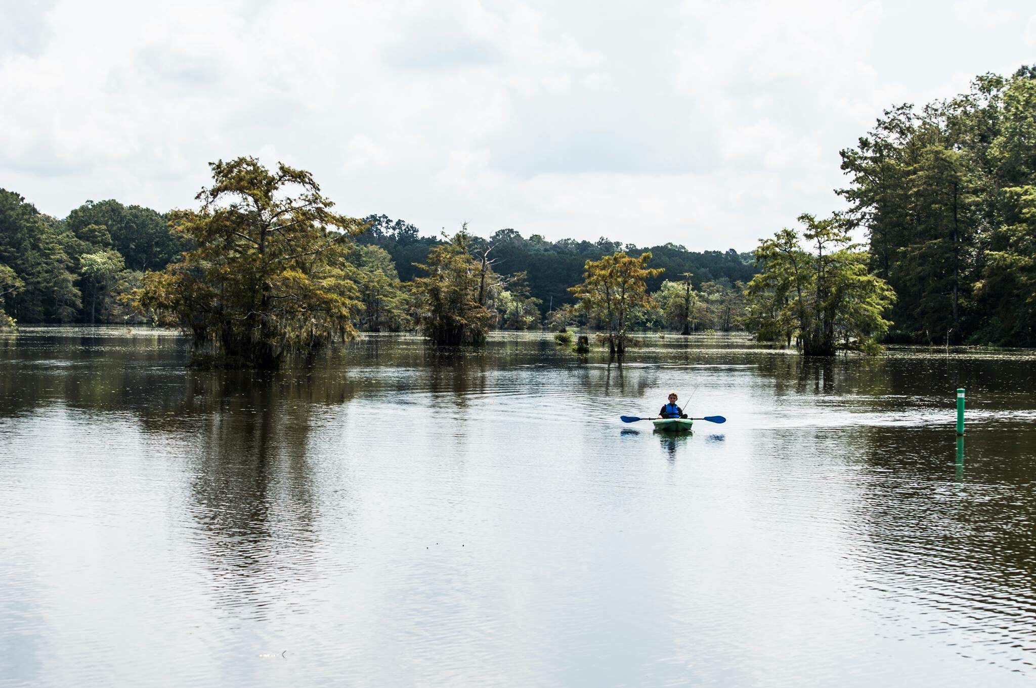 Camper-submitted photo at North Campground — Chicot State Park near Lecompte, LA