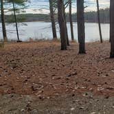 Review photo of Lake Dennison Recreation Area by Jean C., July 19, 2021