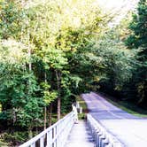 Review photo of North Campground — Chicot State Park by Connie M., June 14, 2018