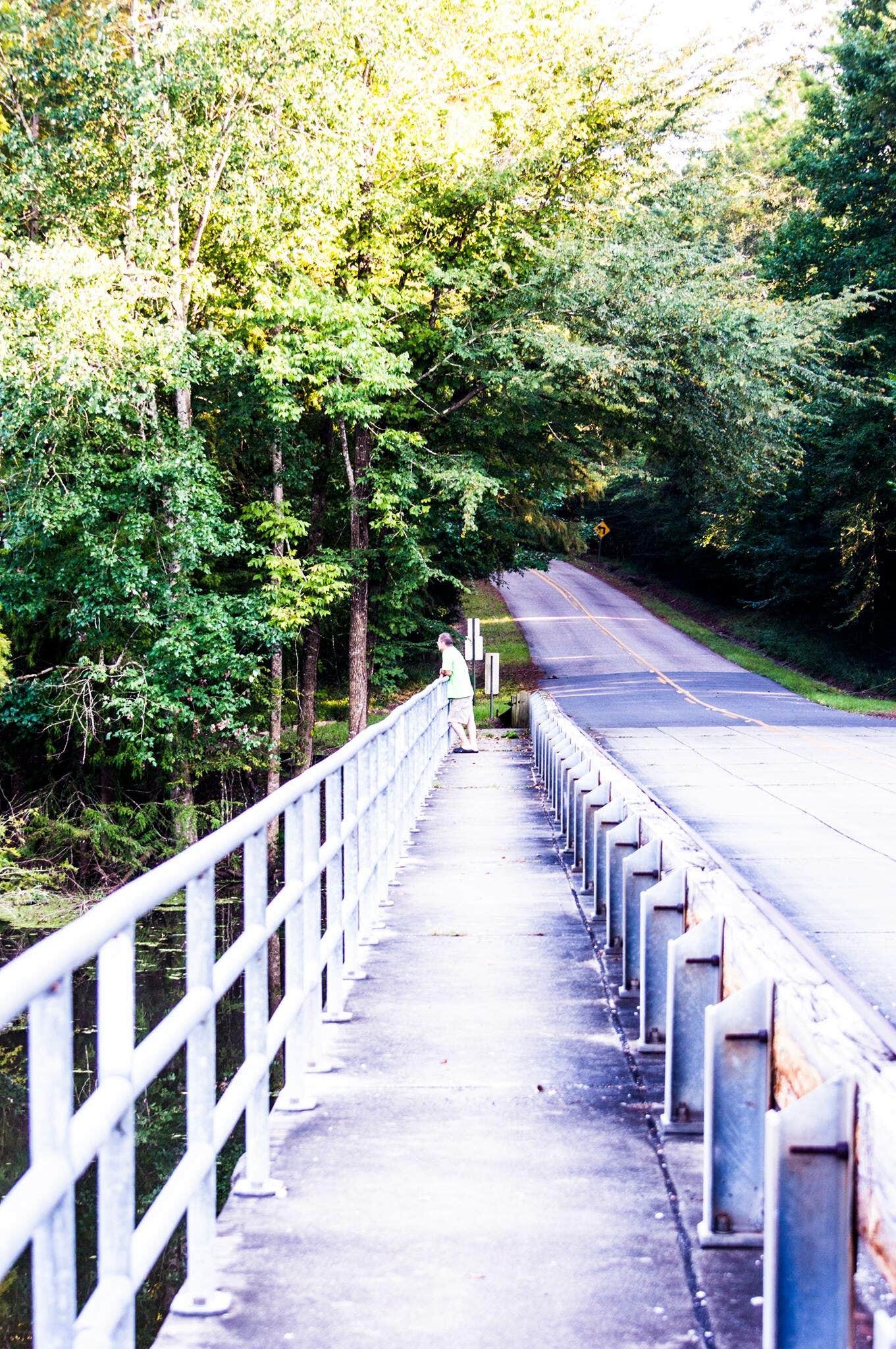 Camper submitted image from North Campground — Chicot State Park - 4