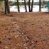 Review photo of Lake Dennison Recreation Area by Jean C., July 19, 2021