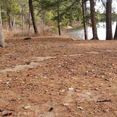 Review photo of Lake Dennison Recreation Area by Jean C., July 19, 2021