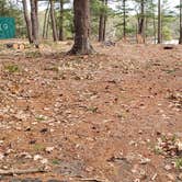 Review photo of Lake Dennison Recreation Area by Jean C., July 19, 2021