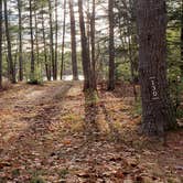 Review photo of Lake Dennison Recreation Area by Jean C., July 19, 2021