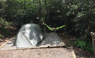 Kevin G.'s photo at Mount Pisgah Campground near Candler, NC