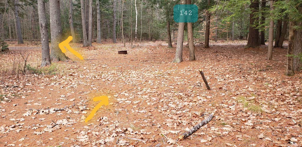 Jean C.'s photo at Lake Dennison Recreation Area Campground near Royalston, MA