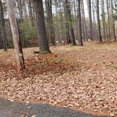 Review photo of Lake Dennison Recreation Area by Jean C., July 19, 2021