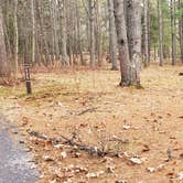 Review photo of Lake Dennison Recreation Area by Jean C., July 19, 2021