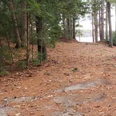 Review photo of Lake Dennison Recreation Area by Jean C., July 19, 2021