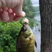 Review photo of Lake Dennison Recreation Area by Jean C., July 19, 2021