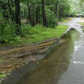 Review photo of Lake Dennison Recreation Area by Jean C., July 19, 2021