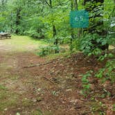 Review photo of Lake Dennison Recreation Area by Jean C., July 19, 2021