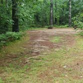 Review photo of Lake Dennison Recreation Area by Jean C., July 19, 2021