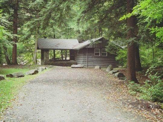 Katie T.'s photo of a cabin at Worlds End State Park Campground near Cammal, PA