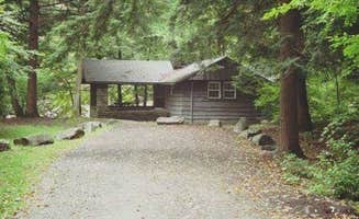 Katie T.'s photo of a cabin at Worlds End State Park Campground near Cammal, PA
