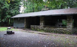 Katie T.'s photo of a cabin at Worlds End State Park Campground near Factoryville, PA
