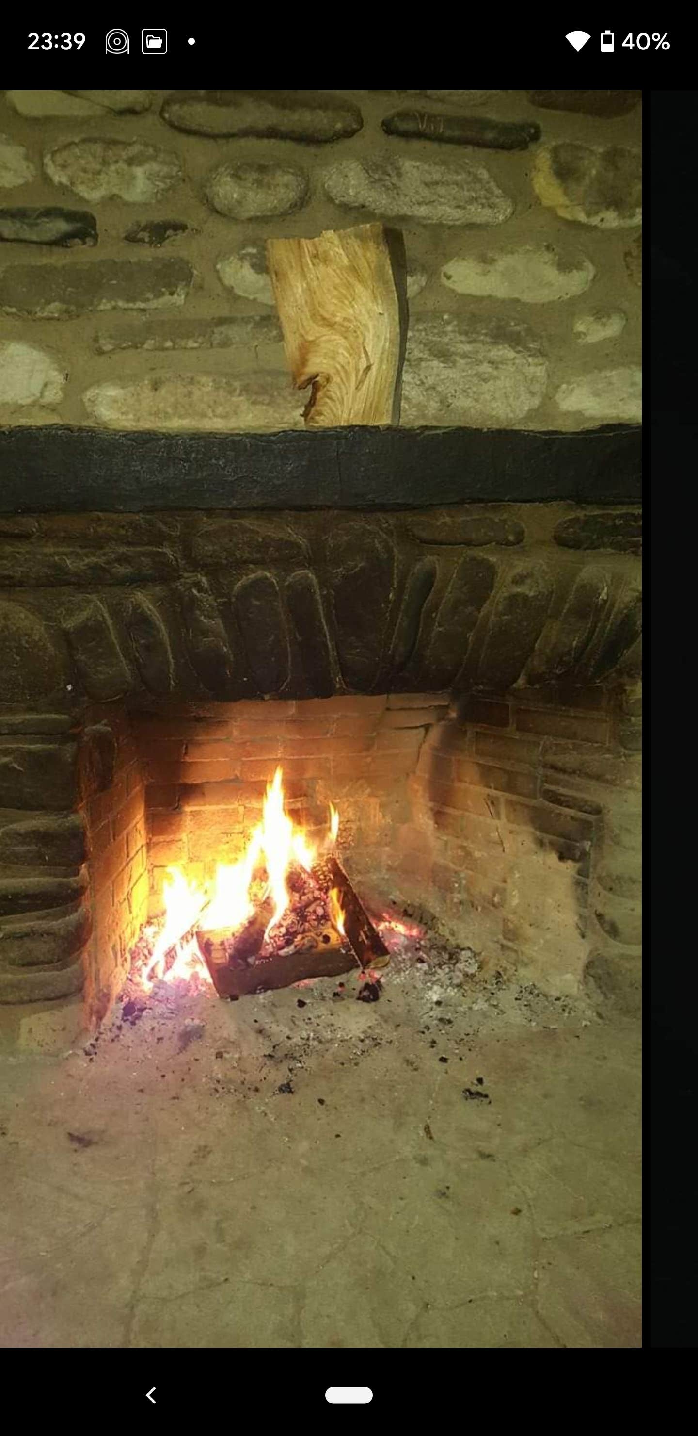 Katie T.'s photo of camping with pets at Worlds End State Park Campground near Milton, PA