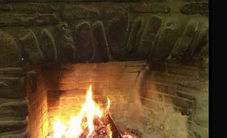 Katie T.'s photo of camping with pets at Worlds End State Park Campground near New Columbia, PA