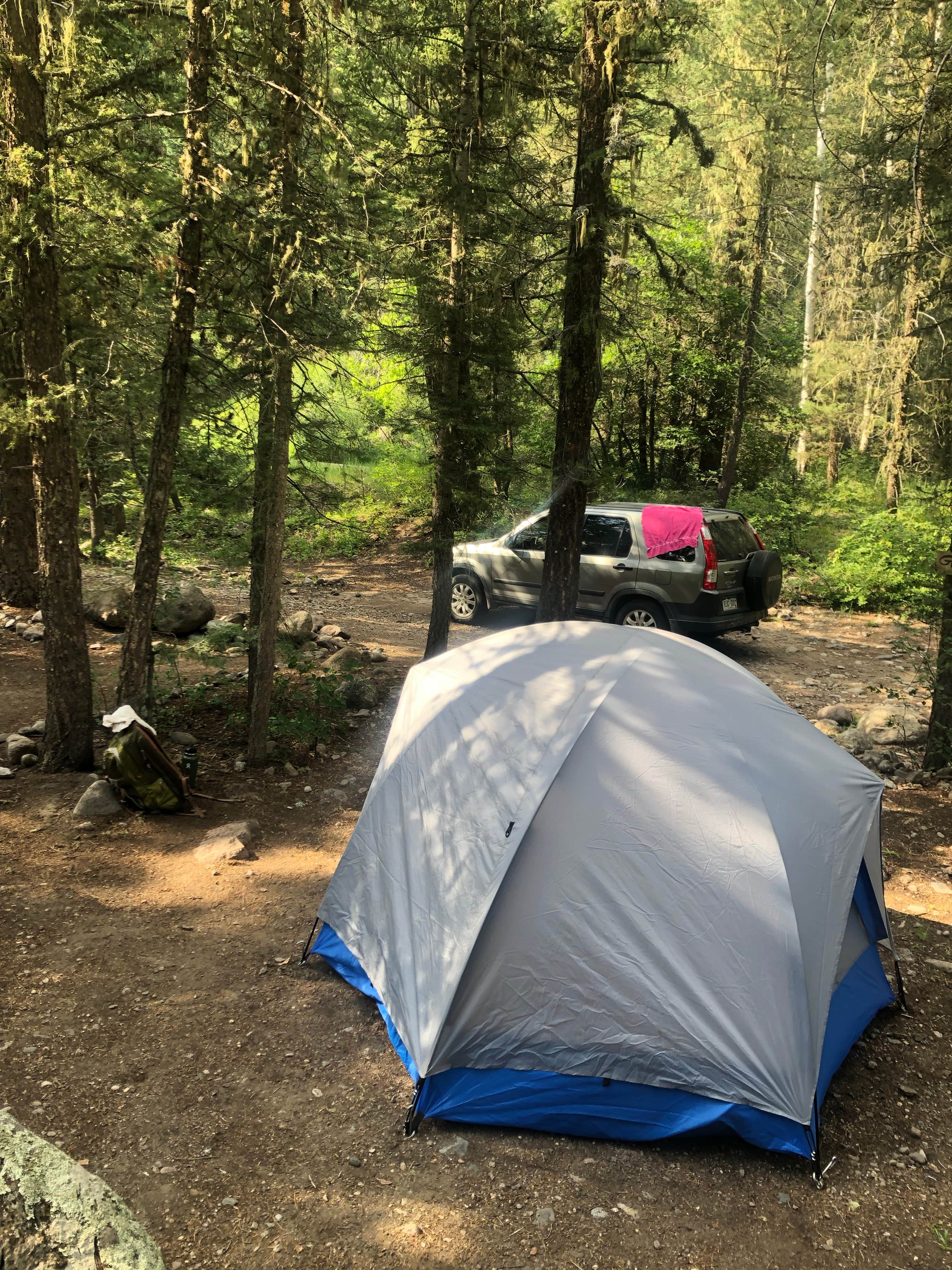 April G.'s photo of a dispersed camping area at West Fork Dispersed near Pagosa Springs, CO