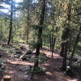 Review photo of West Fork Dispersed by April G., July 19, 2021