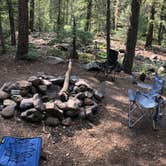 Review photo of West Fork Dispersed by April G., July 19, 2021