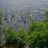 Review photo of Lake Dennison Recreation Area by Jean C., July 19, 2021