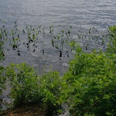 Review photo of Lake Dennison Recreation Area by Jean C., July 19, 2021