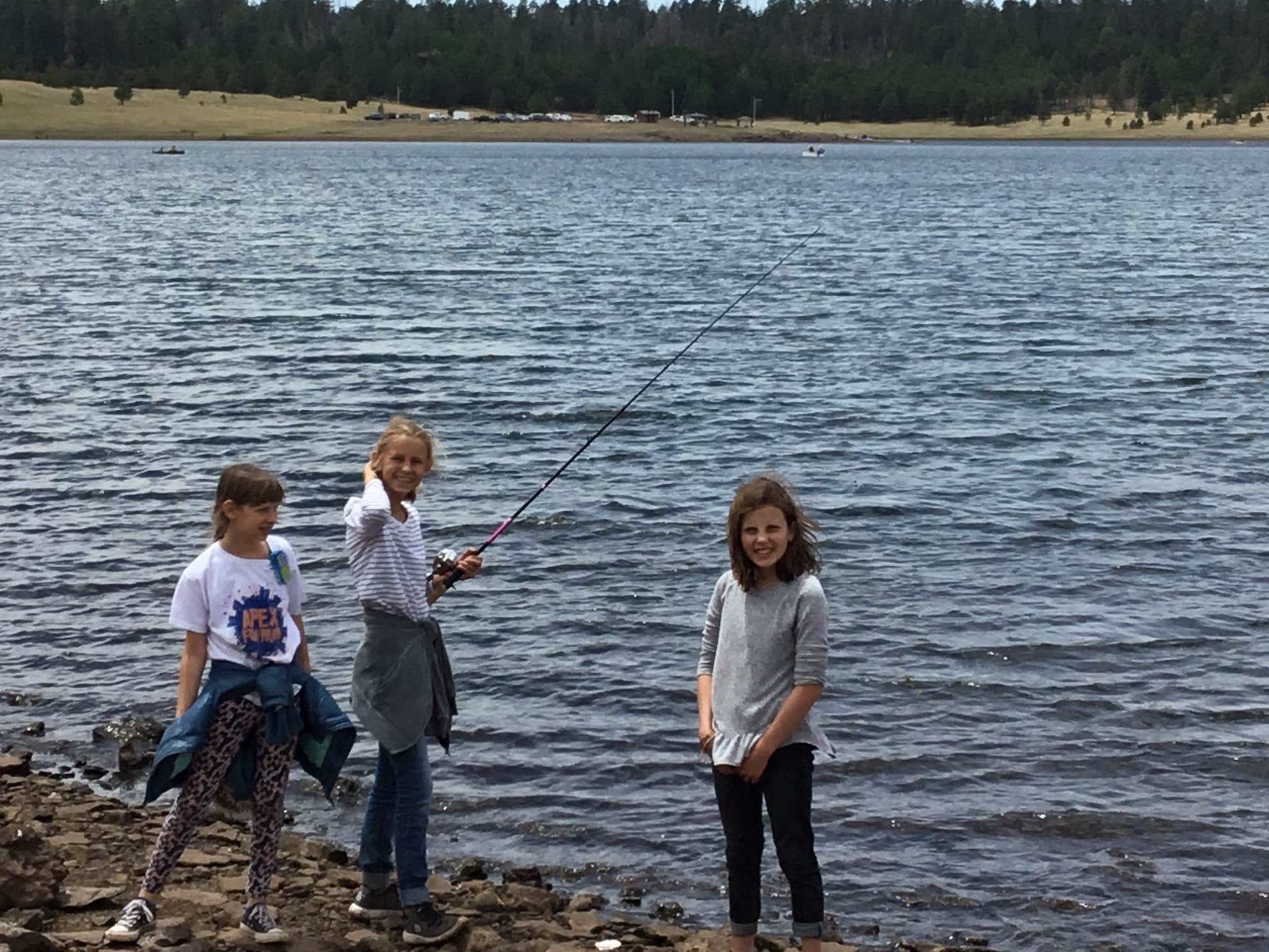 Camper-submitted photo at Cutthroat near Alpine, AZ